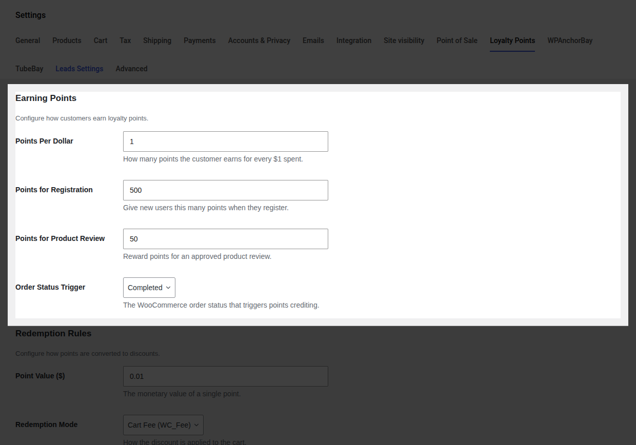 Full Earning Points settings group with all four fields filled in