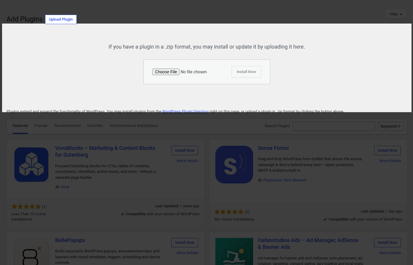 Expanded upload form with Choose File and Install Now controls