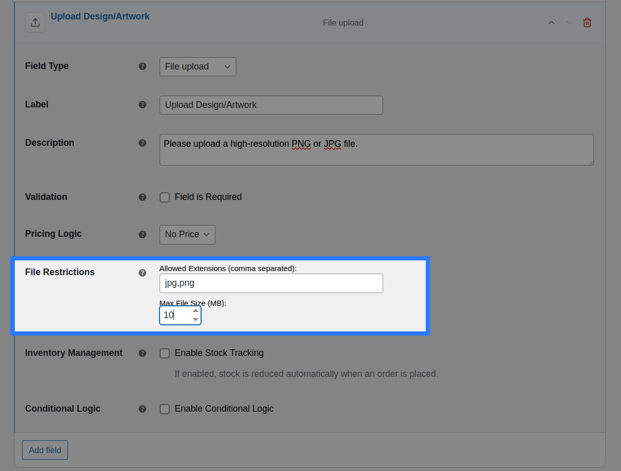 Backend view of Restrictions settings for File Upload field