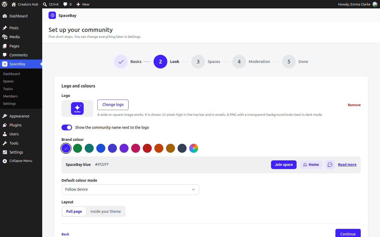 Setup wizard step two with the logo, brand colour and layout